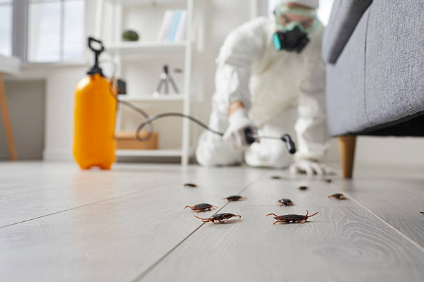 Post-Treatment Bed Bug Interceptor Monitoring in Leola